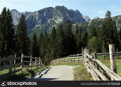Wooden fence and road in Durmitor, Montenegro