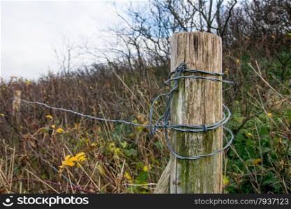 wooden fence post with bushes in the background