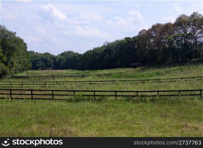 Wooden fences dividing the farmland.
