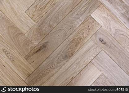 Wooden floor texture - premium oak parquet in close-up ( high details)