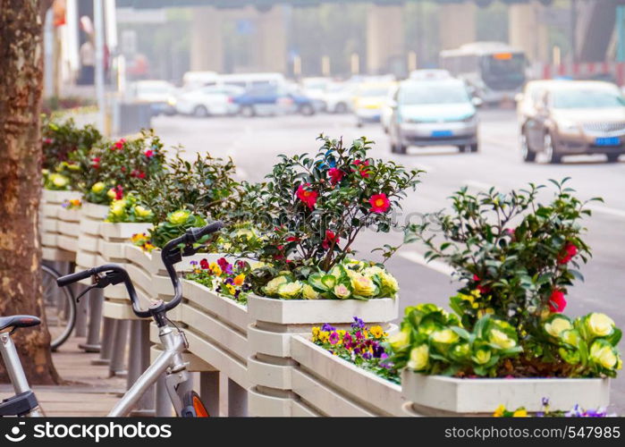 wooden flower beds along the road on which cars ride.. wooden flower beds along the road on which cars ride