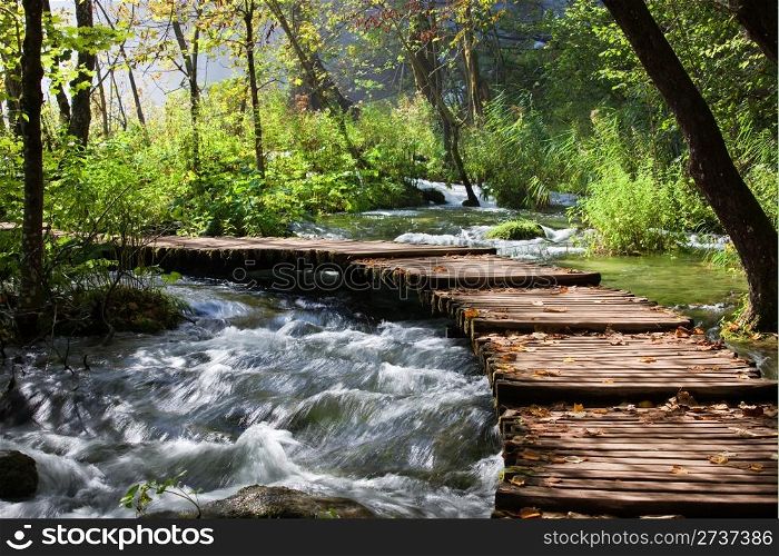 Wooden foot bridge across the stream in mountain forest, Croatia