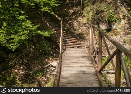 Wooden footbridge and stairs over mountain gully