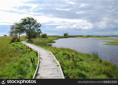 Wooden footbridge crossing a wetland in a nature reserve at the swedish island Oland