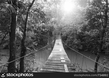 Wooden footbridge over river in tranquil forest in stunning black and white