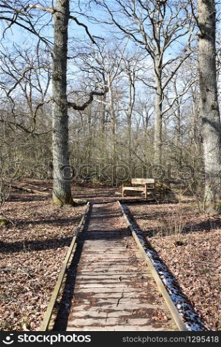 Wooden footbridge with a resting place in the swedish nature reserve Halltorps Hage