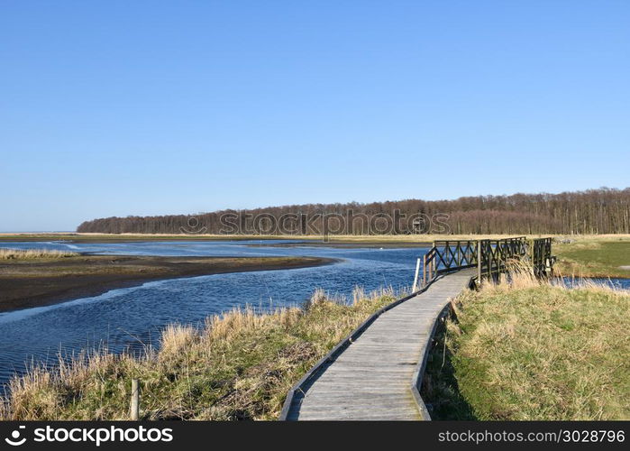 Wooden footpath through the wetland Beijershamn on the swedish island Oland - a famous birding site. Wooden footpath through a marshland