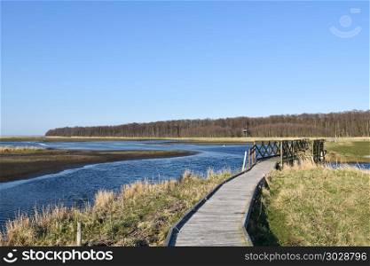 Wooden footpath through the wetland Beijershamn on the swedish island Oland - a famous birding site. Wooden footpath through a marshland
