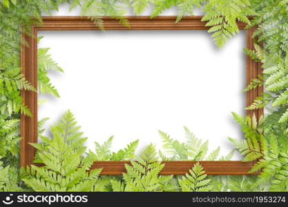 Wooden Frame And Green Leaves For Frame On White Background, Copy Space For Text, Nature Border