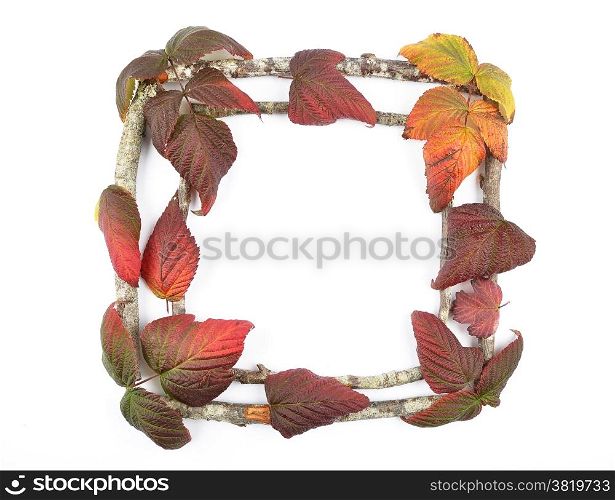 Wooden frame with bramble leaves