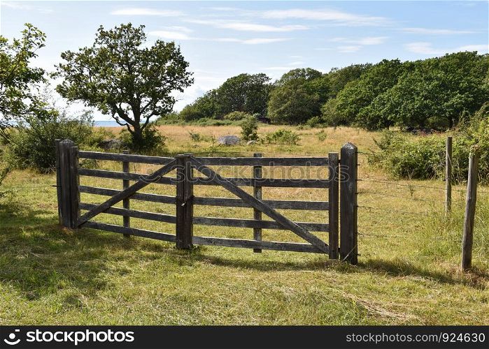 Wooden gate by a pastureland in summer season at the island Oland in Sweden