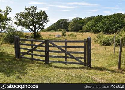 Wooden gate by a pastureland in summer season at the island Oland in Sweden