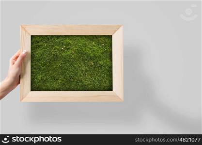 Wooden grass. Close up of hand holding frame with green grass