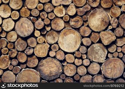 Wooden grunge background made with wood cross sections. Natural wood log texture, wall decor