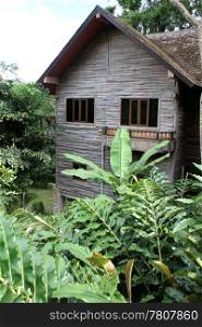 Wooden hause in the deep forest in Northern Thailand