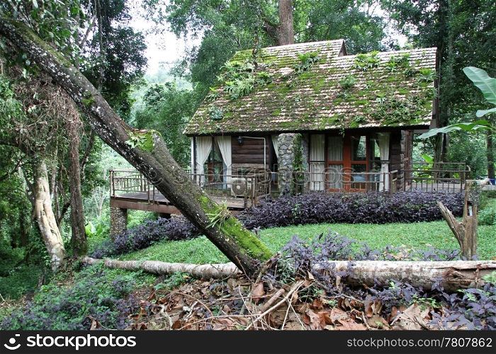 Wooden hause in the deep forest in Northern Thailand