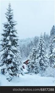 Wooden house and colorful beehives with snowdrift on roofs in winter fir forest (Ukraine, Carpathians).
