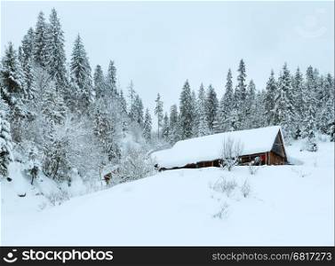 Wooden house and snowy fir forest on winter slope of Ukrainian Carpathian Mountains in cloudy weather.