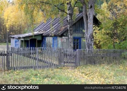 Wooden house and tree in Medvezshegorsk, Karelia, Russia