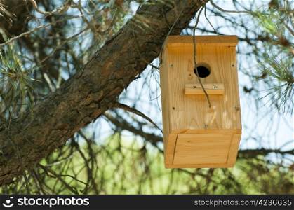 Wooden house for the birds. Natural wood color