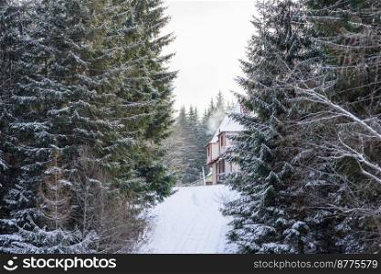 Wooden house in a beautiful winter green coniferous forest on the slopes of the mountains. Outdoor recreation in the winter season