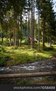 Wooden house in forest, house made of natural materials with creek. Wooden house in forest