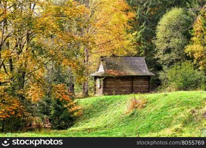 Wooden house in the autumn forest on the lawn. Wooden house in the autumn forest