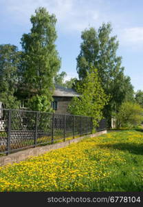 wooden house in the city