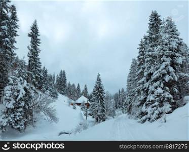 Wooden house, rural road and snowy fir forest on winter slope of Ukrainian Carpathian Mountains in cloudy weather.
