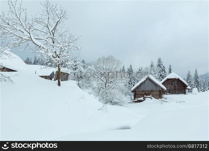 Wooden houses in snowdrifts on the slopes in winter Ukrainian Carpathian Mountains in cloudy weather.