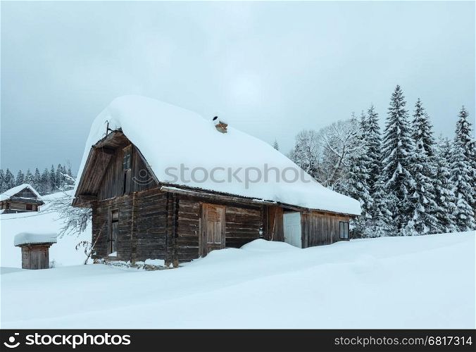 Wooden houses in snowdrifts on the slopes in winter Ukrainian Carpathian Mountains in cloudy weather.