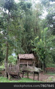 Wooden houses in the village near Vang Vieng. Laos