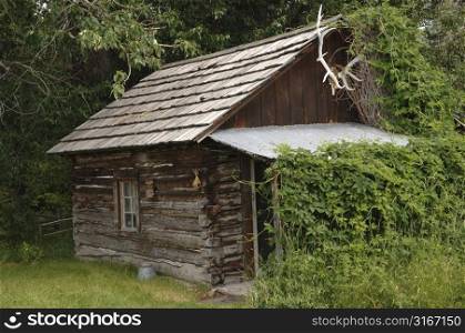 Wooden hut.