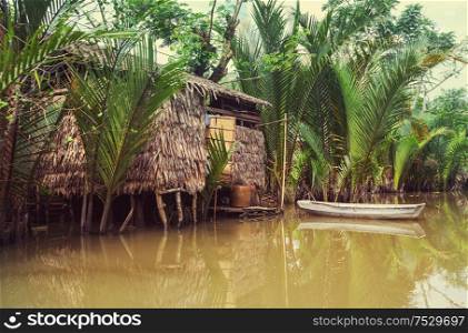 Wooden hut and boat in Mekong Delta, Vietnam