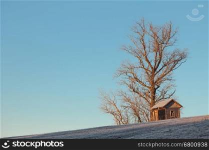 Wooden hut at the top of a hill under a tree at wintertime; copy space