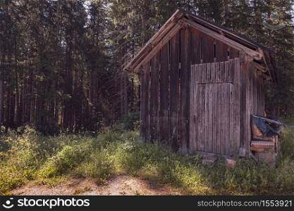Wooden hut hidden in the forest, daytime landscape image