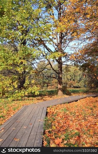 wooden lane in autumn park