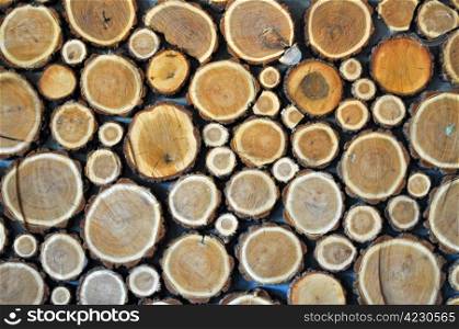 wooden logs background