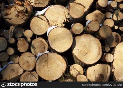 Wooden logs can be used for background