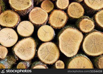 Wooden logs can be used for background