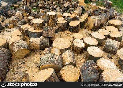 Wooden logs of oak tree and sawdust near sawmill