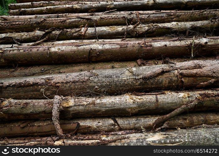 Wooden logs timber stacked in Harz mountains of Germany. Wooden logs stacked in Harz mountains Germany