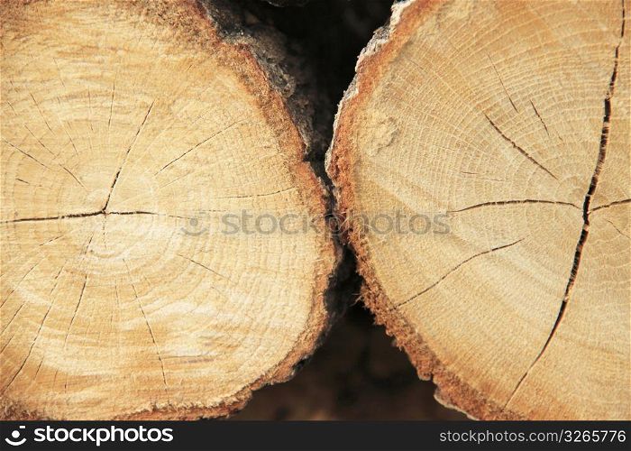 Wooden materials