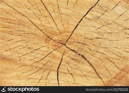 Wooden materials