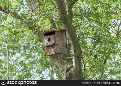 wooden nest for young birds