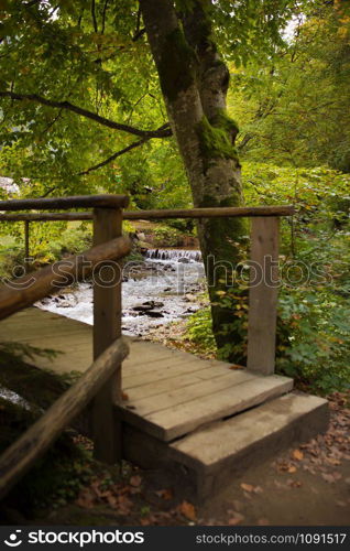 wooden old bridge in a beautiful pine forest.. wooden old bridge in a beautiful pine forest