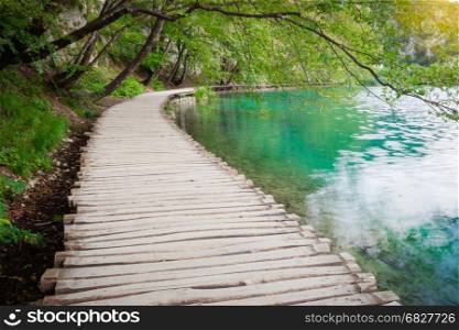Wooden path across beautiful lake in sunny green forest