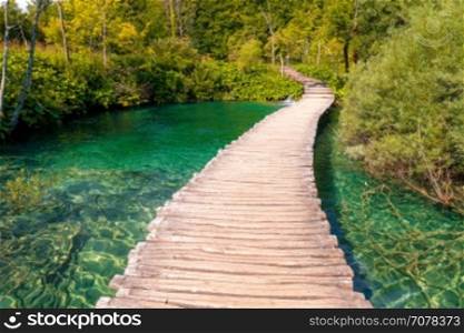 Wooden path across lake in sunny green forest