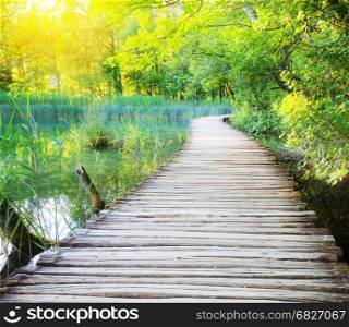 Wooden path across river in sunny green forest