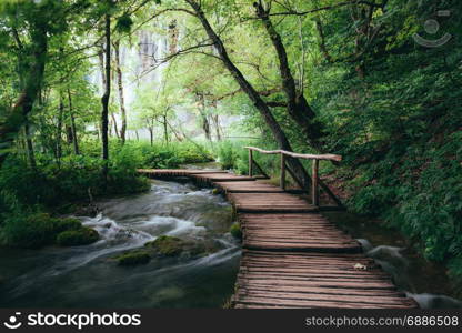 Wooden path across small creek in summer green forest